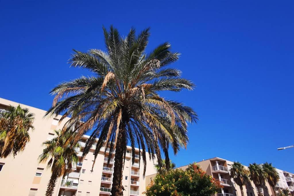 Appartement Premium, Proche Faculte & Centre Ville Ideal Digital Nomad Περπινιάν Εξωτερικό φωτογραφία