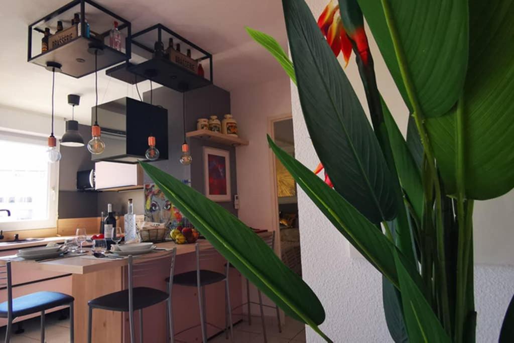 Appartement Premium, Proche Faculte & Centre Ville Ideal Digital Nomad Περπινιάν Εξωτερικό φωτογραφία
